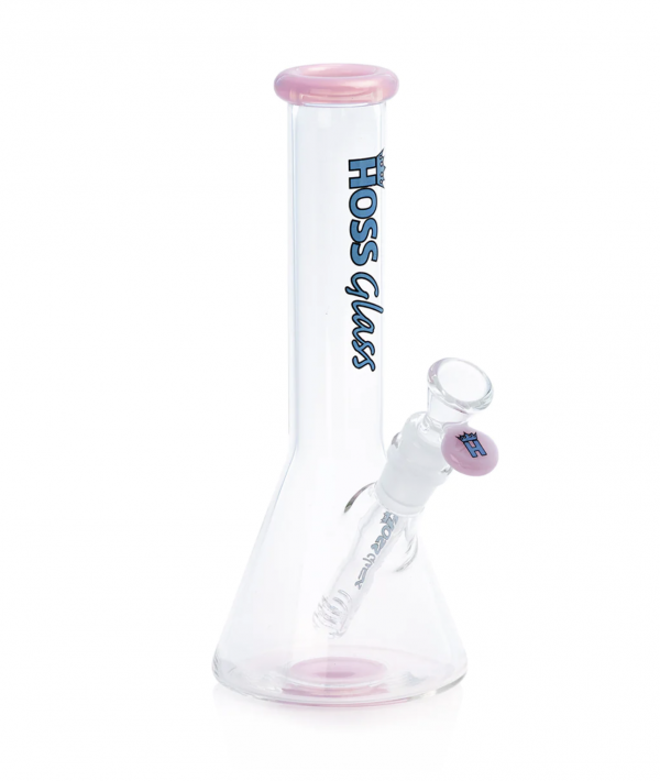 HOSS H143 - Mini Beaker with Colored Accents (9")