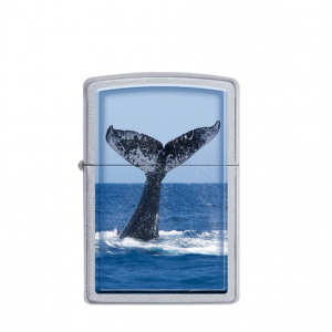 Zippo 078184 Souvenir Diving Whale