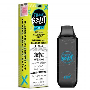 *Blessed Blueberry Mint Iced - Flavour Beast Flow