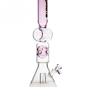 19" Matrix to Swiss Perc Beaker