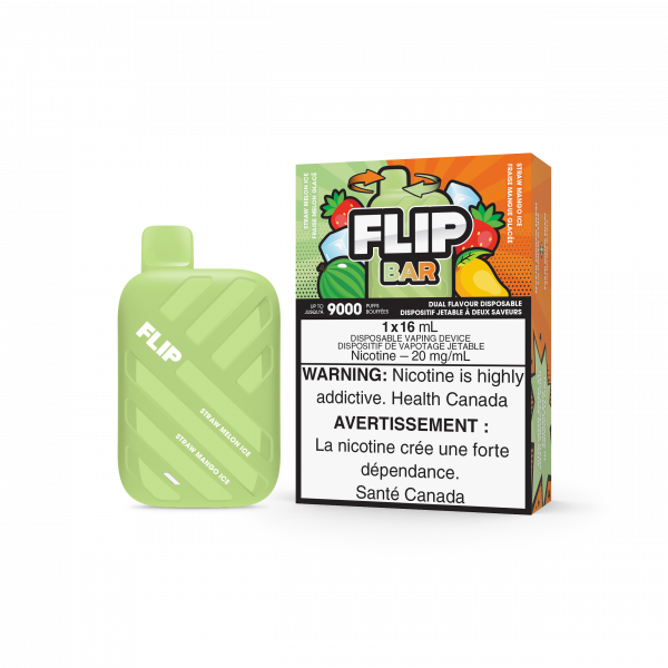 Straw Melon Ice / Straw Mango Ice - Flip Bar