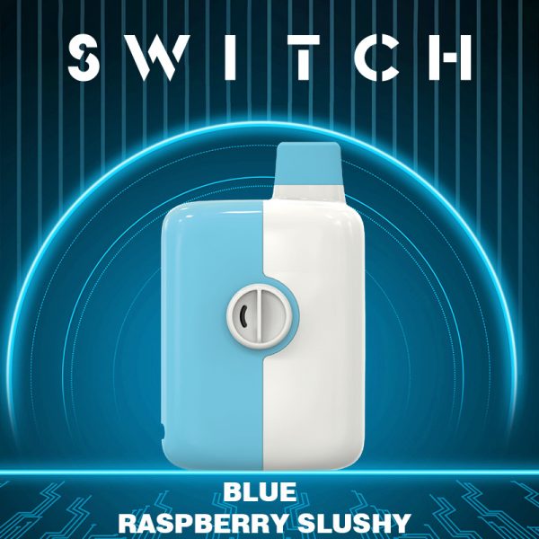 Blue Raspberry Splash -Mr Fog Switch 5500 Puffs