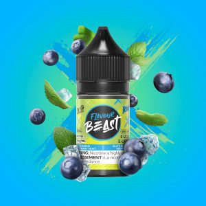 Blessed Blueberry Mint Iced - Flavour Beast Salt 20mg