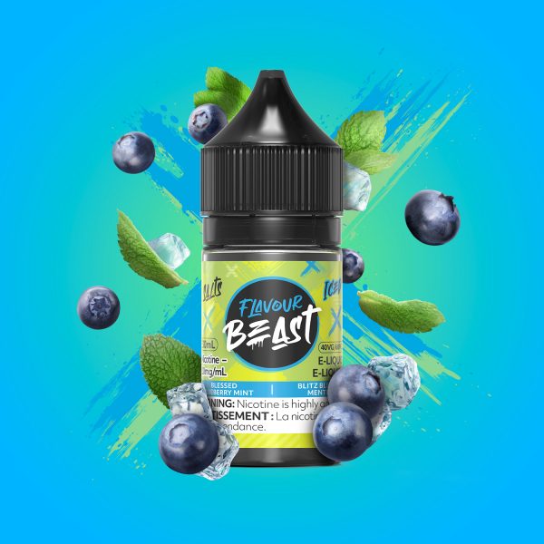 Blessed Blueberry Mint Iced - Flavour Beast Salt 20mg