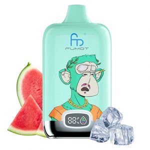 WATERMELON ICE FUMOT - RANDM DIGITAL BOX 12K