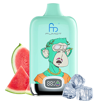 WATERMELON ICE FUMOT - RANDM DIGITAL BOX 12K